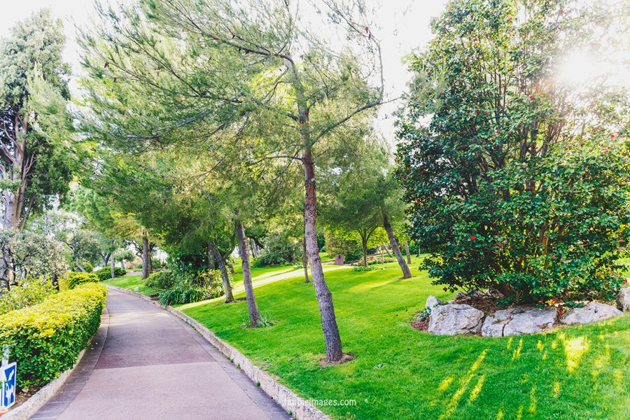 Faithieimages - Monaco Gardens pt. 2 013