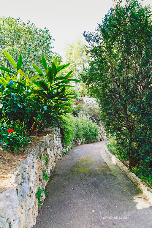 Faithieimages - Monaco Gardens pt. 2 020
