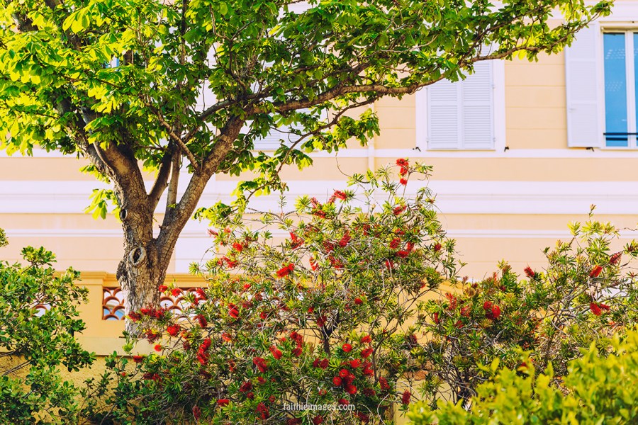 Faithieimages - Monaco street snaps pt.2 008