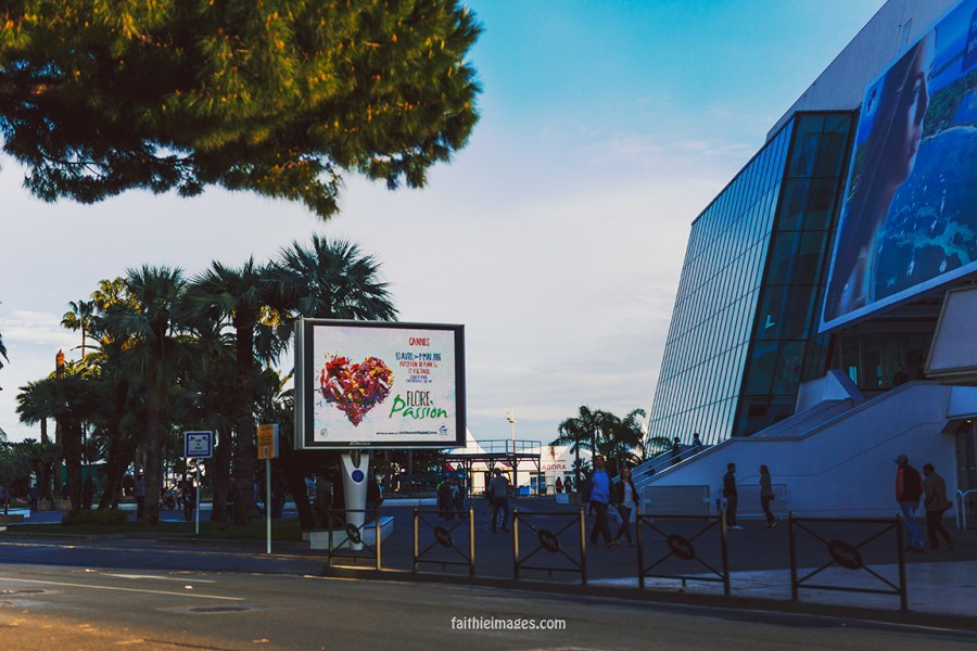 ready, set, action Cannes Palais003