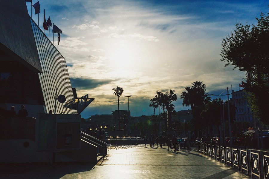 ready, set, action Cannes Palais005