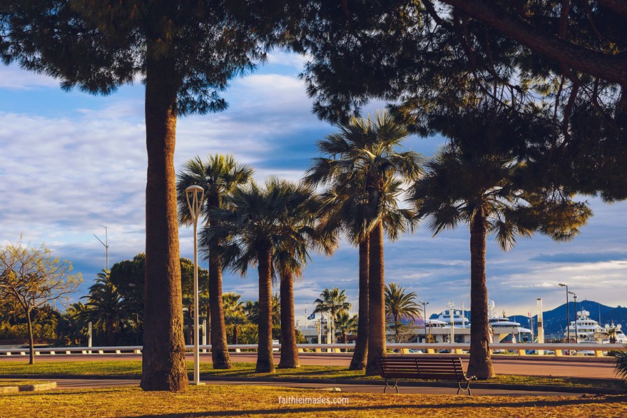 Sunshine on the Pointe Croisette 002