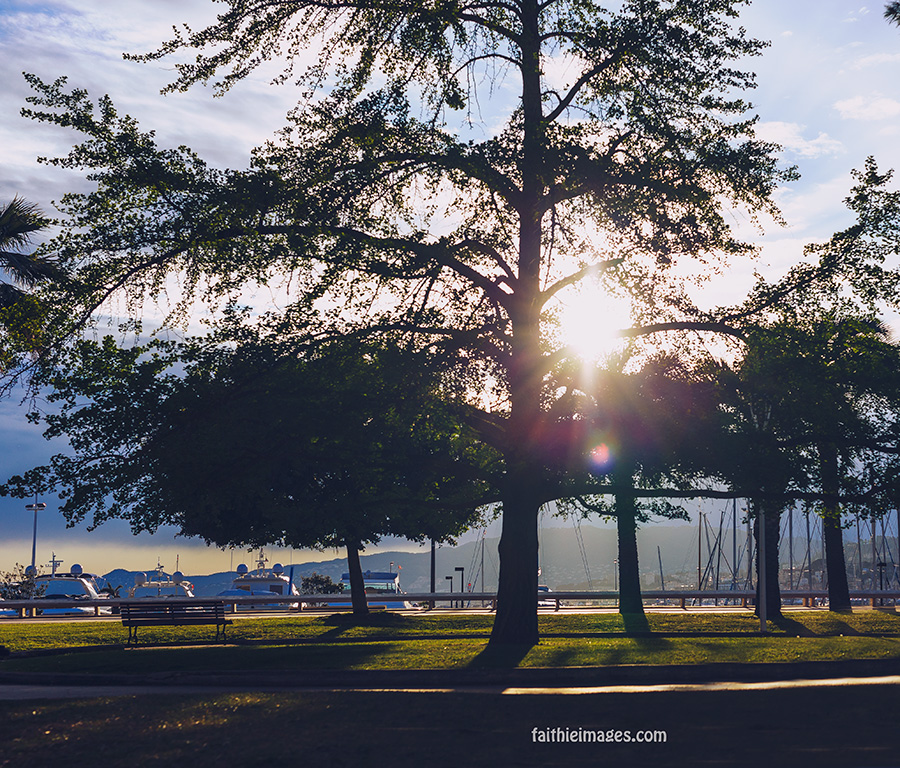 Sunshine on the Pointe Croisette 005