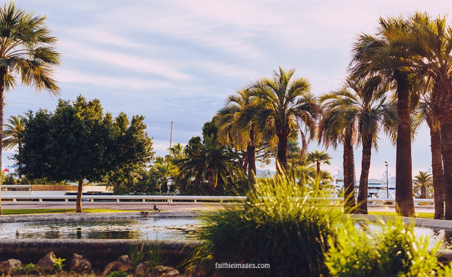 Sunshine on the Pointe Croisette 006