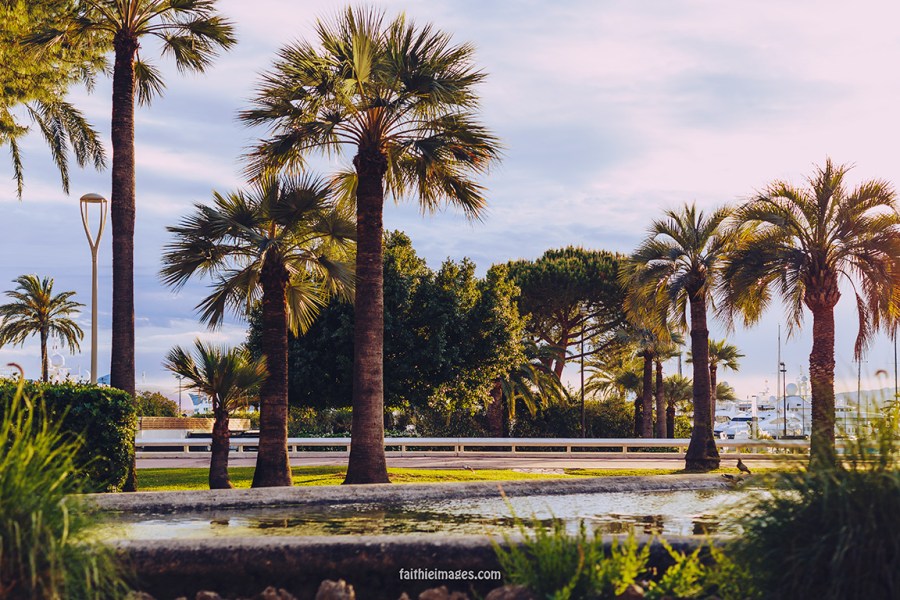 Sunshine on the Pointe Croisette 007