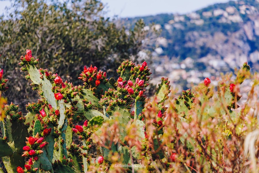 Villefranche-sur-mer by Faithieimages