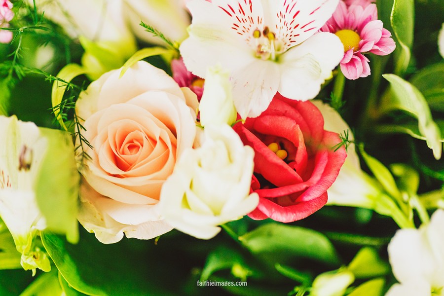 Faithieimages - From my garden 002