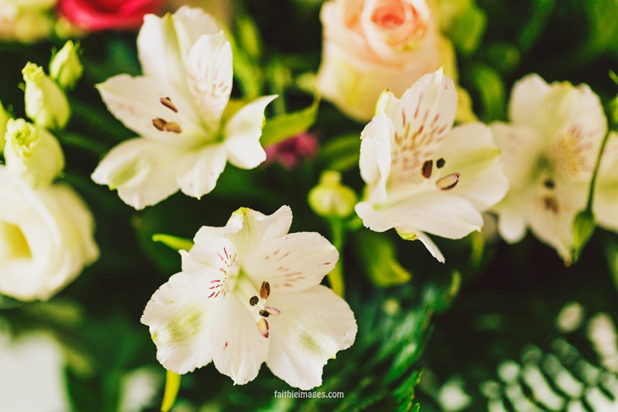 Faithieimages - From my garden 004