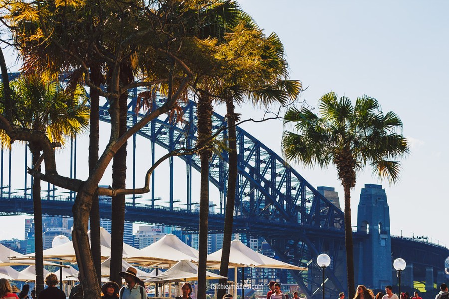 Faithieimages - Sunshine on the Harbour 005