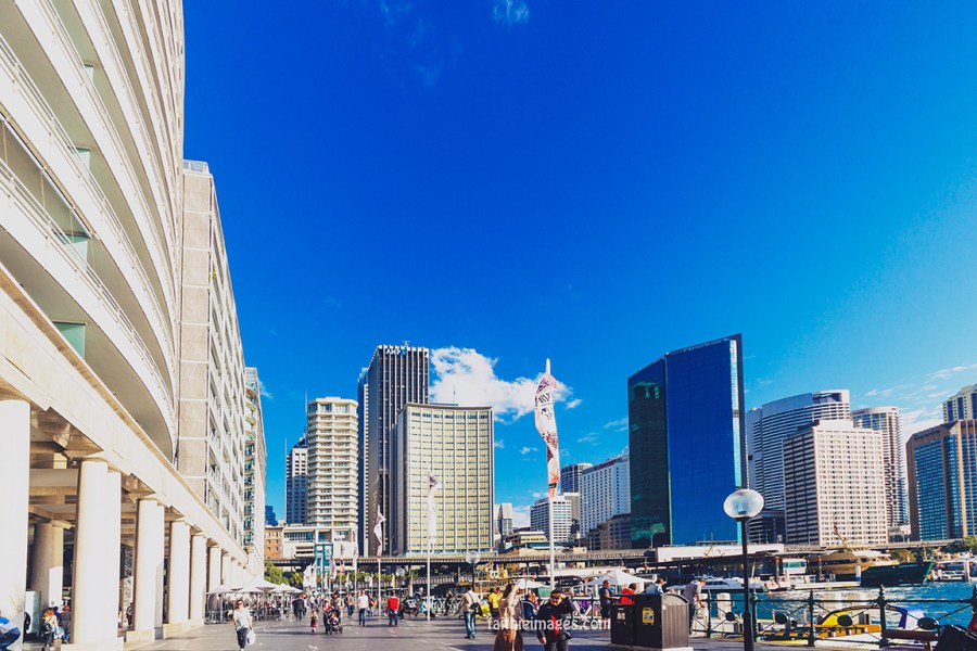 Faithieimages - Sunshine on the Harbour 008