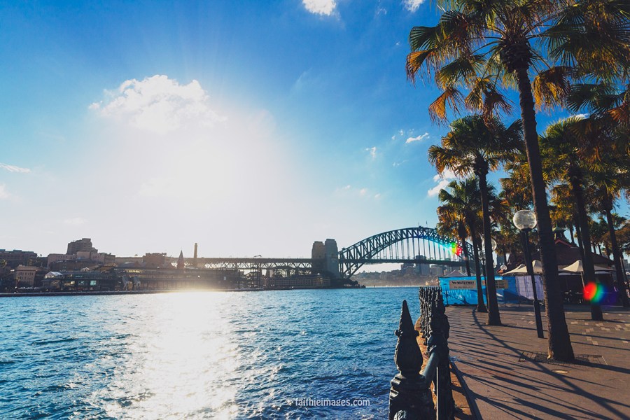 Faithieimages - Sunshine on the Harbour 009