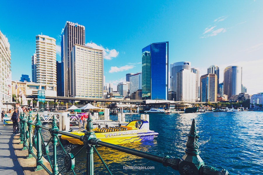 Faithieimages - Sunshine on the Harbour 013