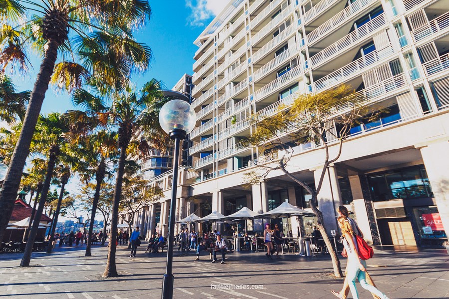 Faithieimages - Sunshine on the Harbour 014