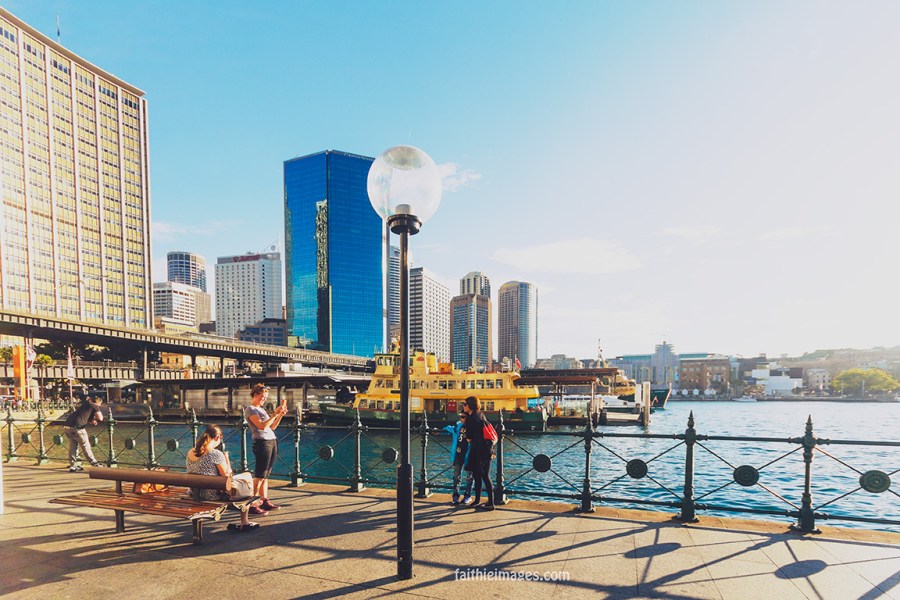 Faithieimages - Sunshine on the Harbour 015