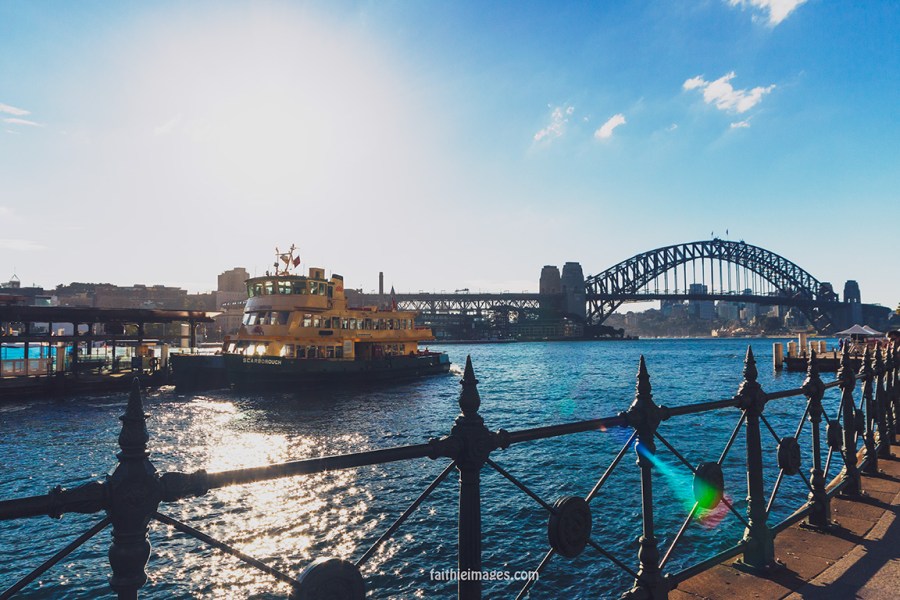 Faithieimages - Sunshine on the Harbour 016