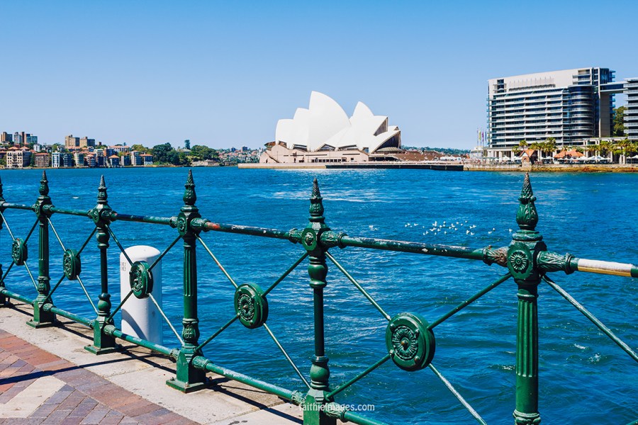 Faithieimages - Sydney Harbour 002