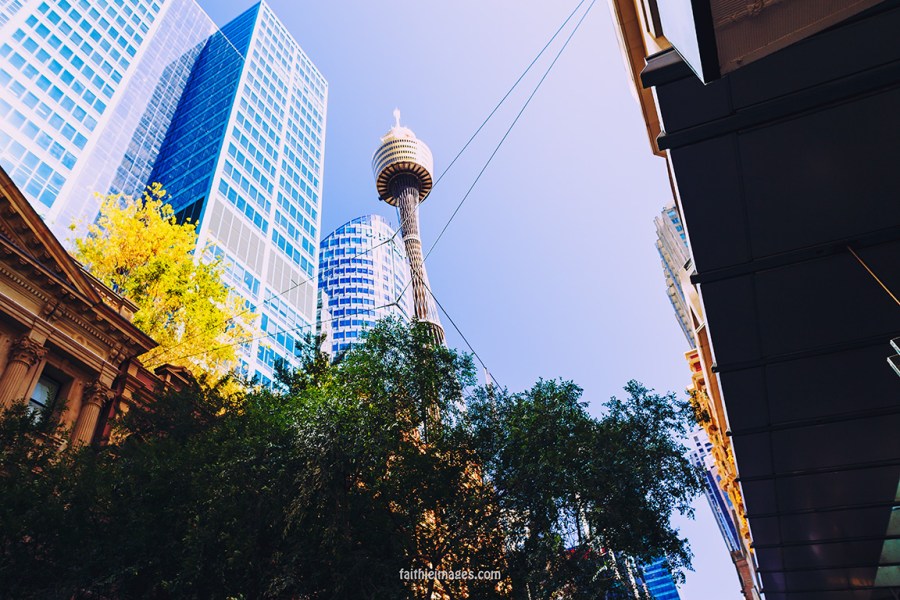 Faithieimages - Westfield Sydney008