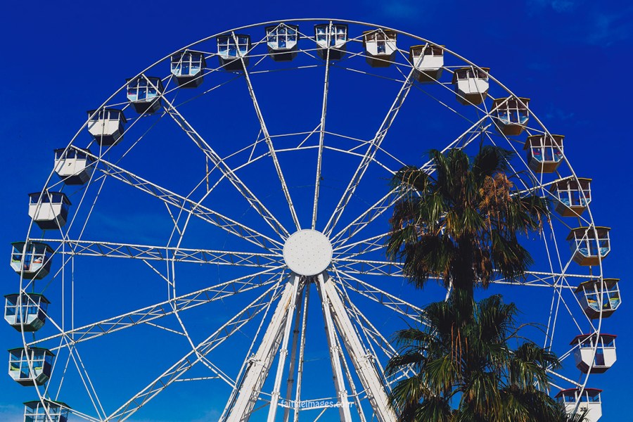 Cannes Ferris Wheel 012