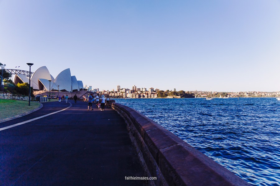 Faithieimages - Botanic garden to the House 001