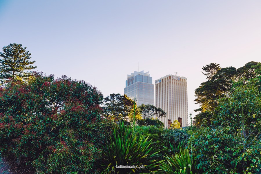 Faithieimages - Botanic garden to the House 003