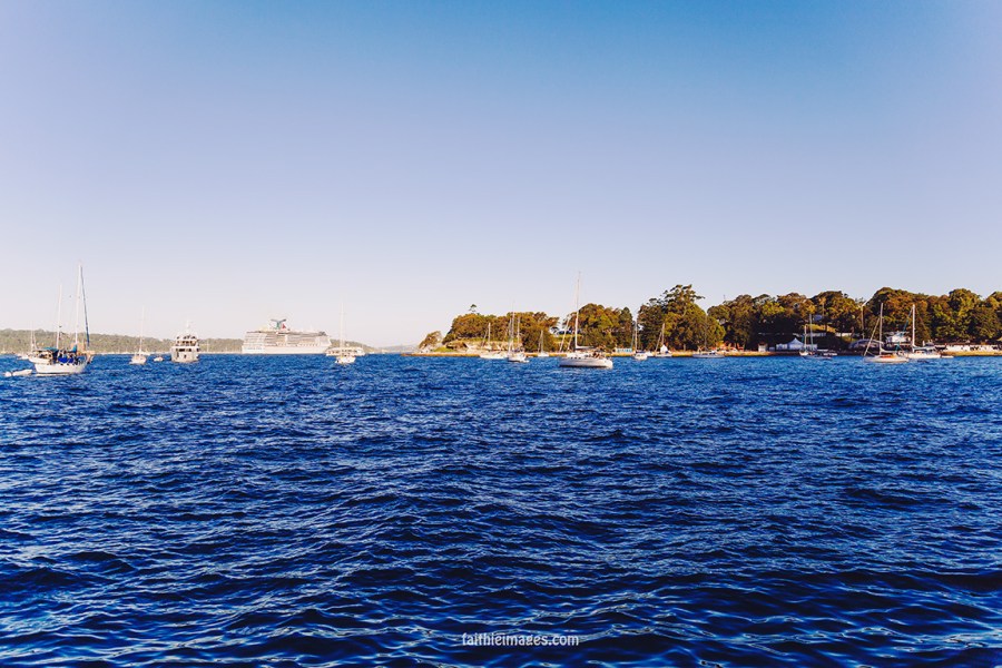 Faithieimages - Botanic garden to the House 004