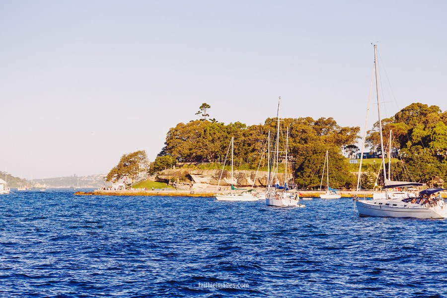 Faithieimages - Botanic garden to the House 006