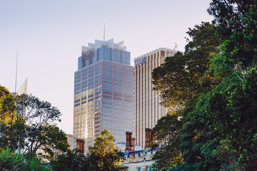 Faithieimages - Botanic garden to the House 007