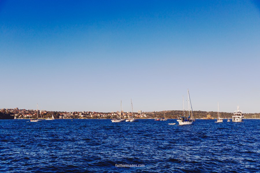 Faithieimages - Botanic garden to the House 008