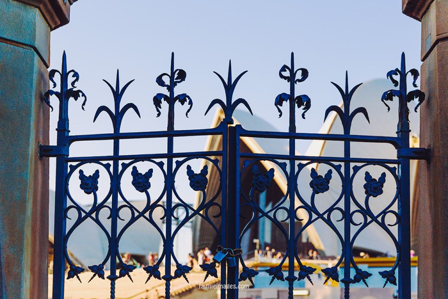 Faithieimages - Botanic garden to the House 010