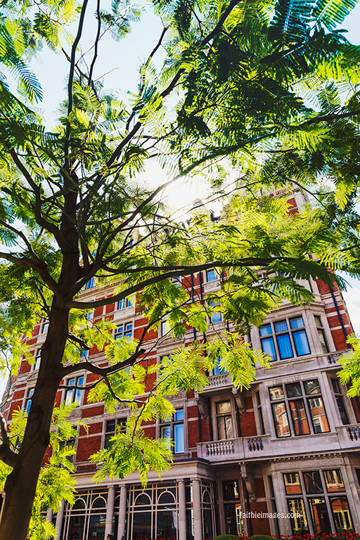 Faithieimages - London strolls 001