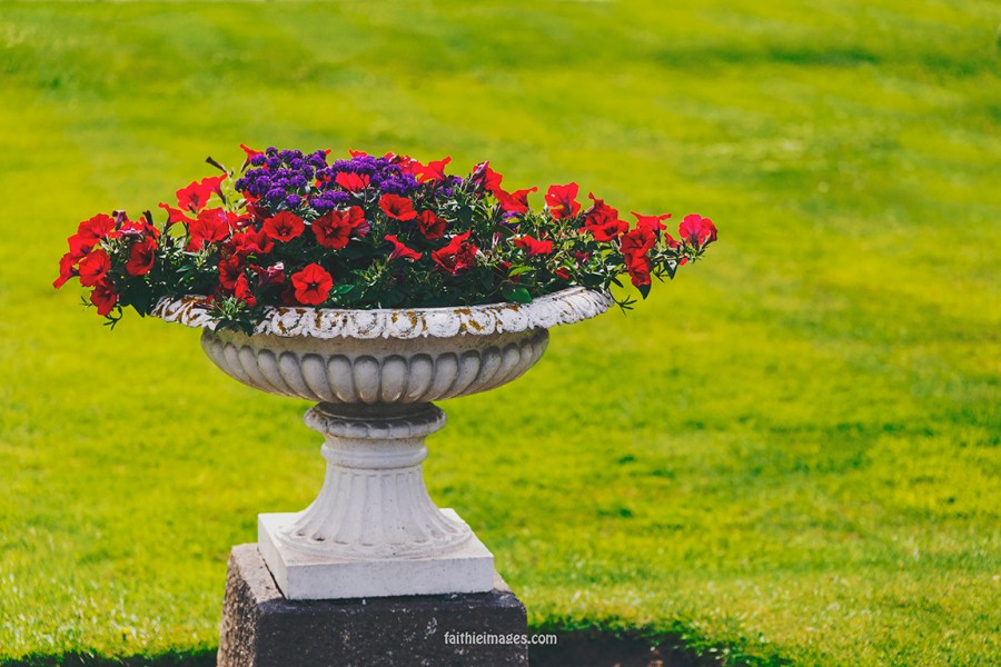 St Stephen's Green Park in Dublin city centre