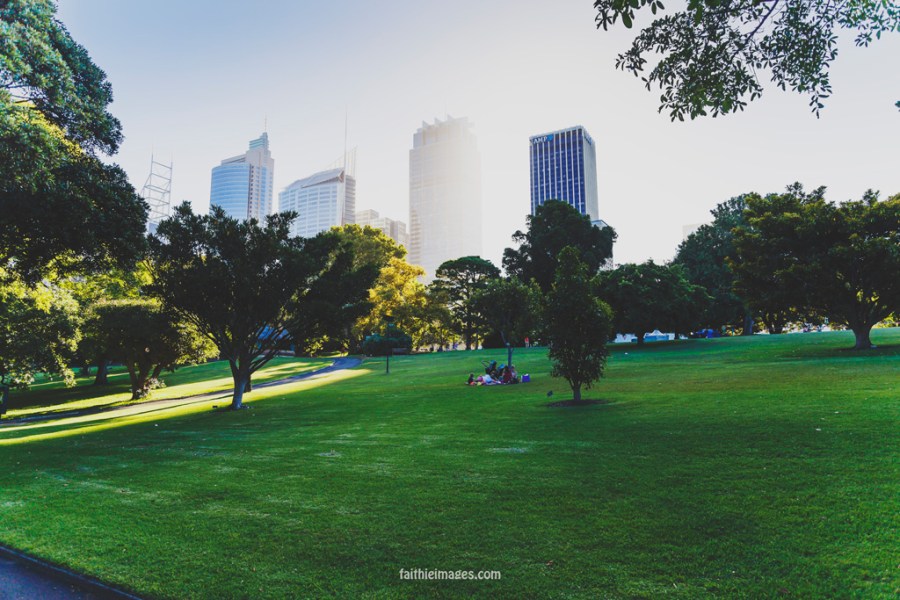 20141230-Sydney-1168