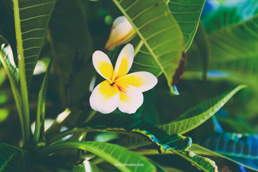 20150107-GoldCoast-0281M