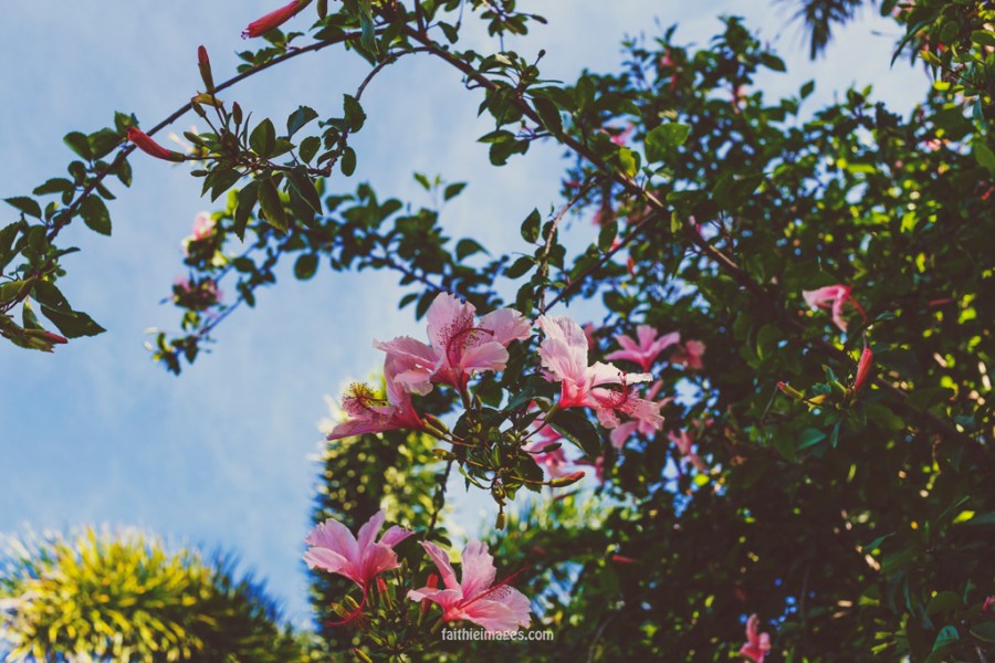 20150110-GoldCoast-0920