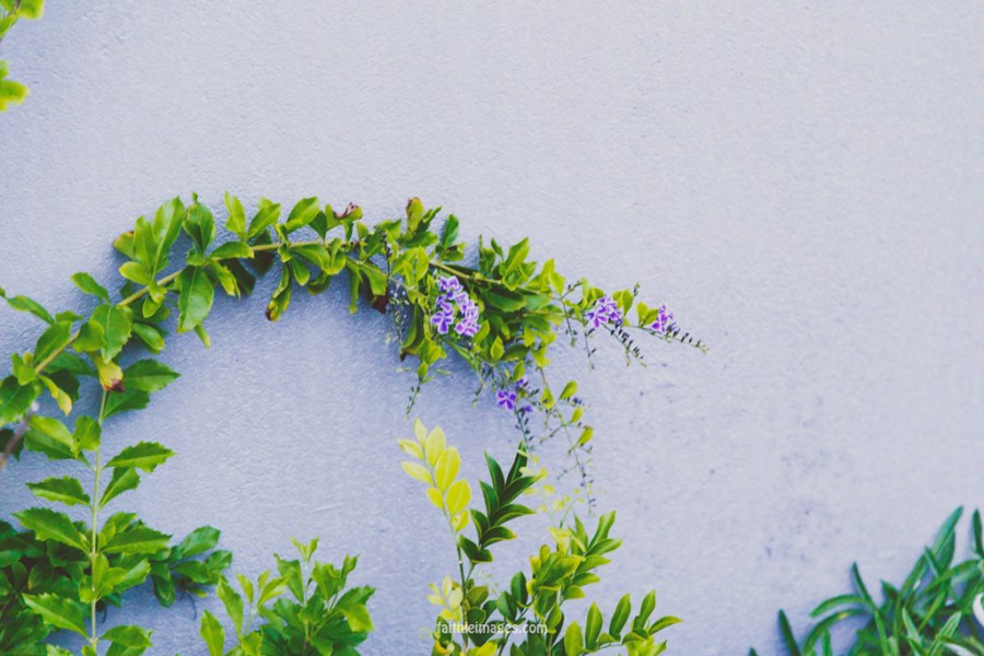 20150114-GoldCoast-1856